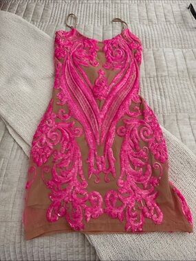 Lucy in the Sky Hot Pink Sequin Embellished Sheer Mini Dress